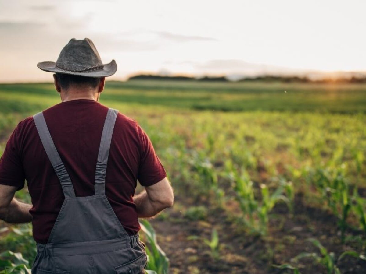 Saiba como solicitar crédito rural para compra de terras - CashMe